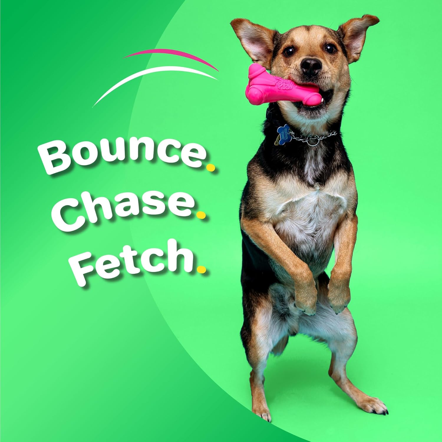 Durable Latex Dog Bone Toys