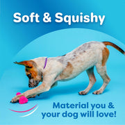Durable Latex Dog Bone Toys