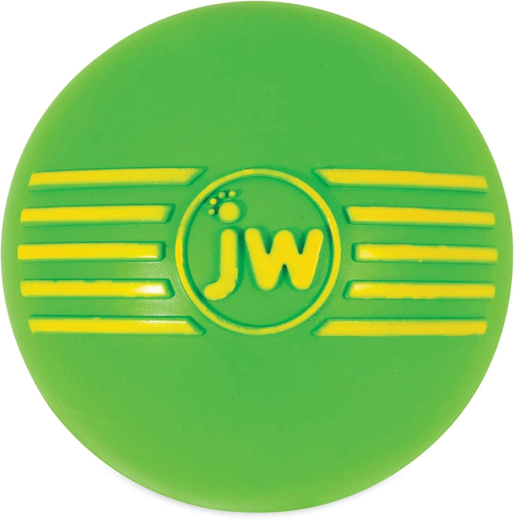Squeaky Fetch Ball Dog Toy
