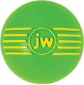 Squeaky Fetch Ball Dog Toy