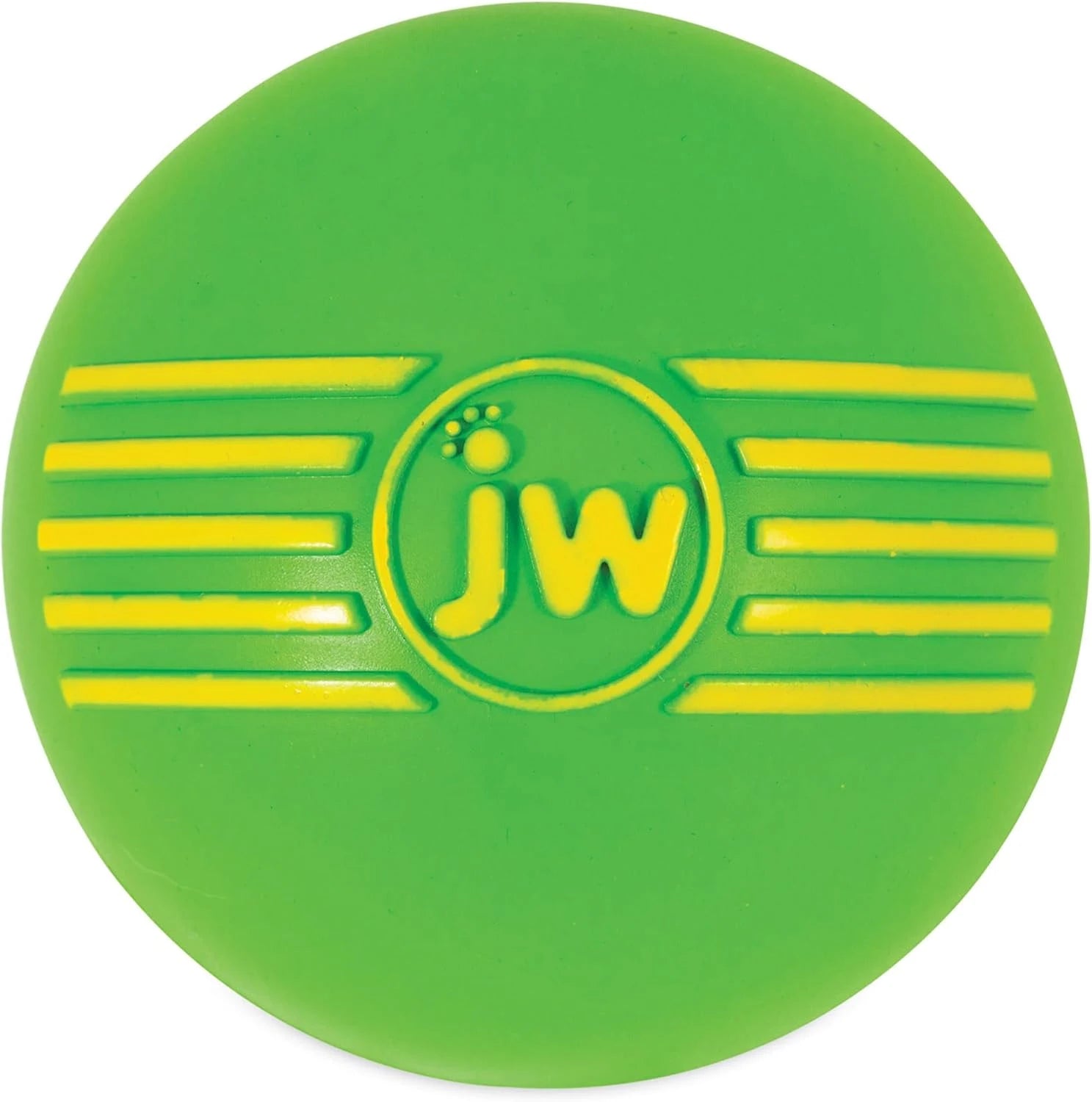 Squeaky Fetch Ball Dog Toy