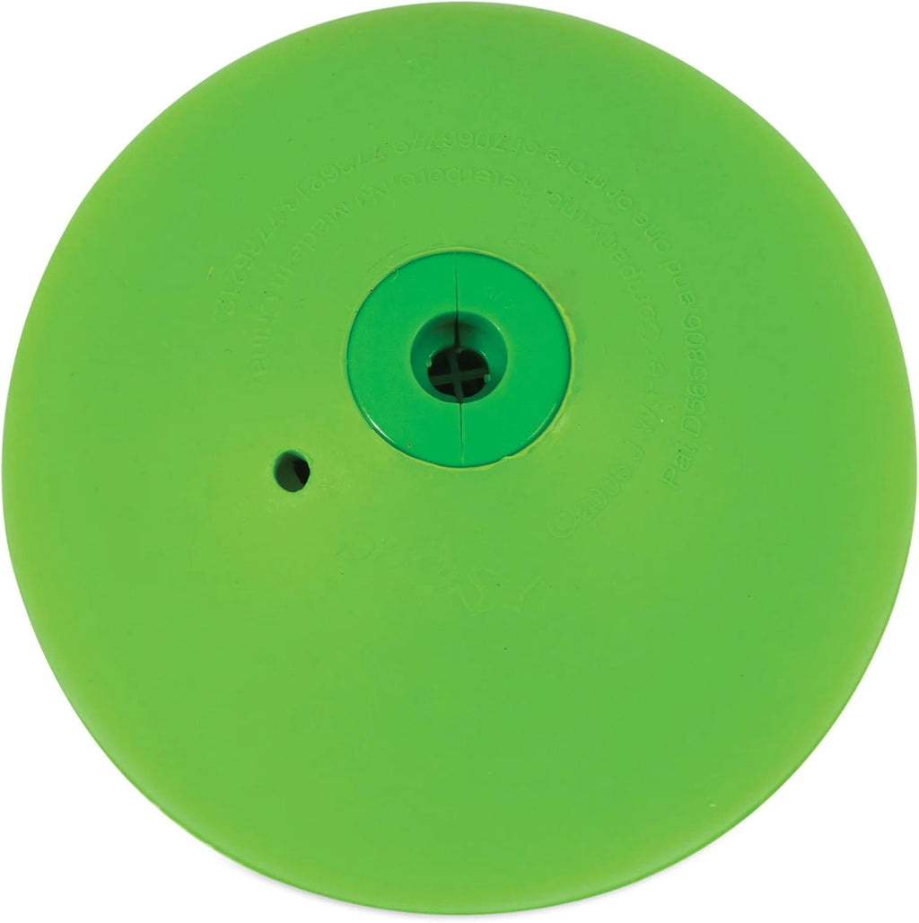 Squeaky Fetch Ball Dog Toy