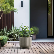 Weathered Concrete Planter