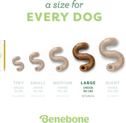 Durable Tripe Flavor Dog Chew Bone for Aggressive Chewers (Large)