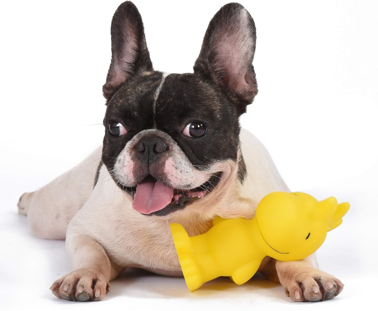 Woodstock Vinyl Squeaky Dog Toy