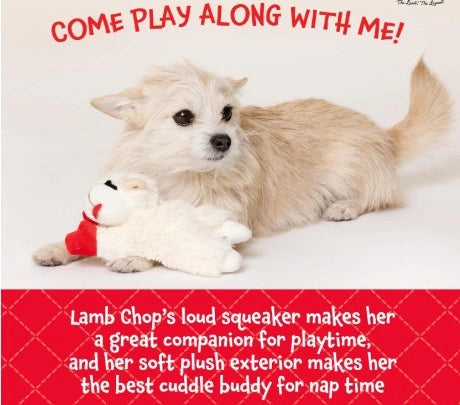 Soft Plush Lamb Squeaky Dog Toy (6 Inch, Cream)