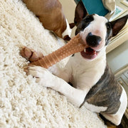 Aggressive Chewer Knuckle Bone