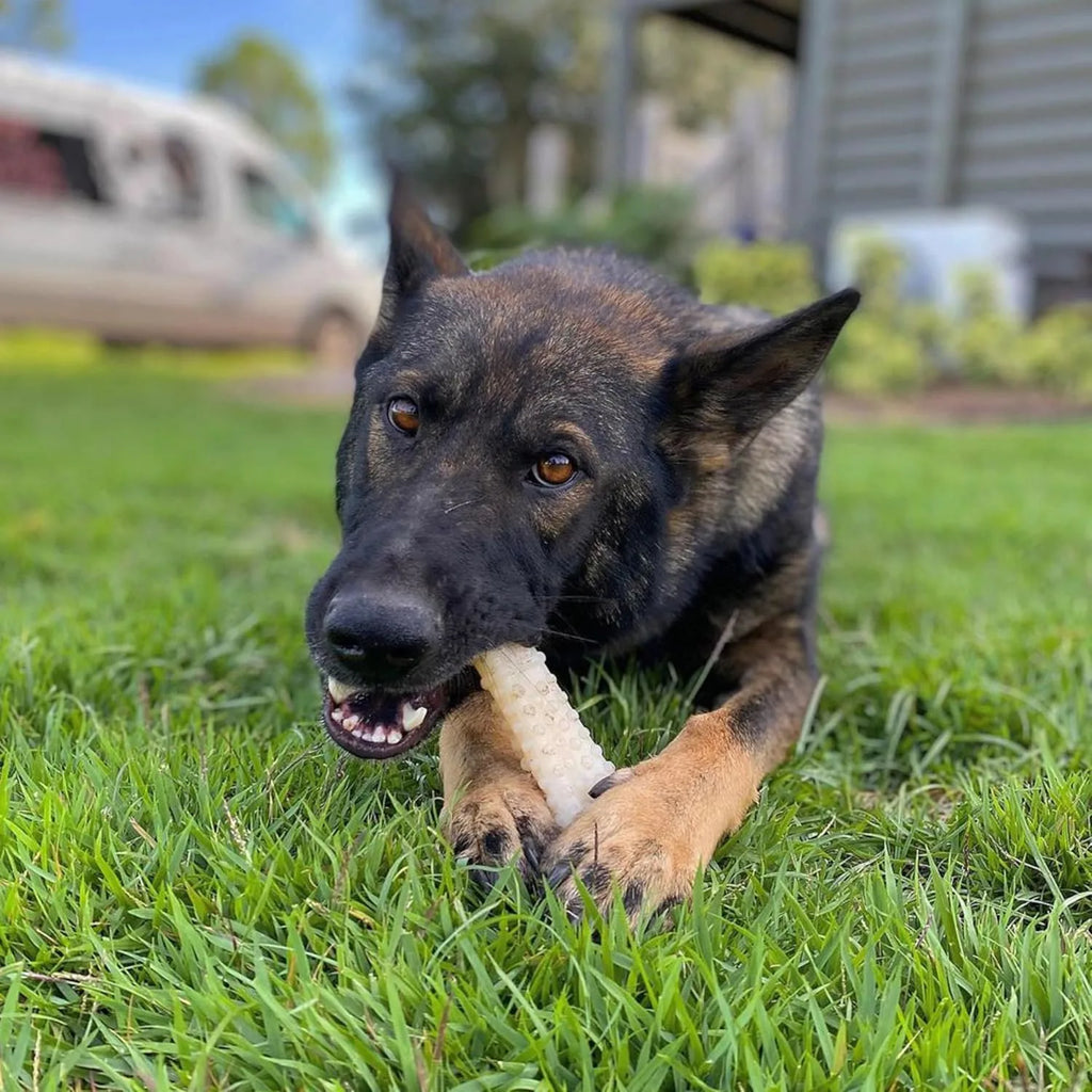 Textured Knuckle Dog Chew Bone